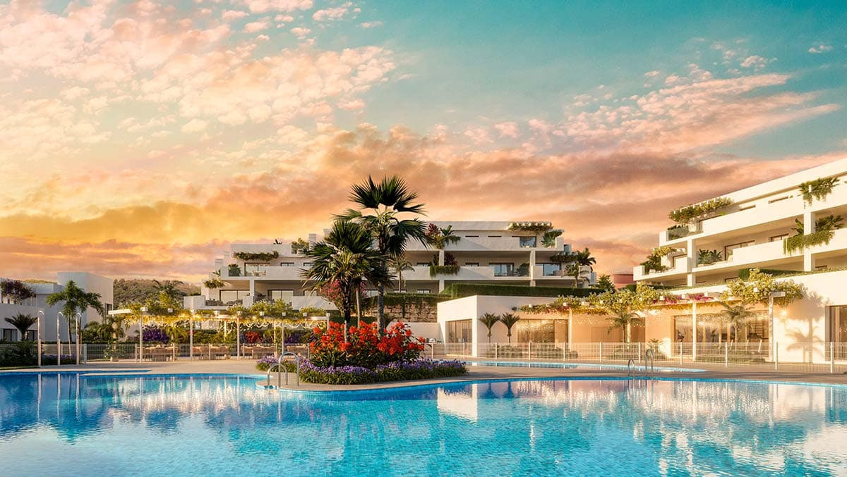 Amaranta development image
