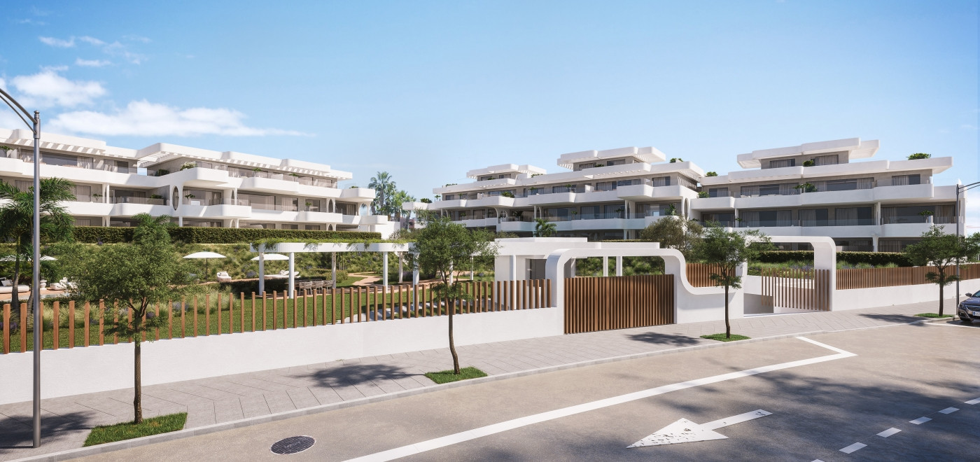 Lagumare41 development image