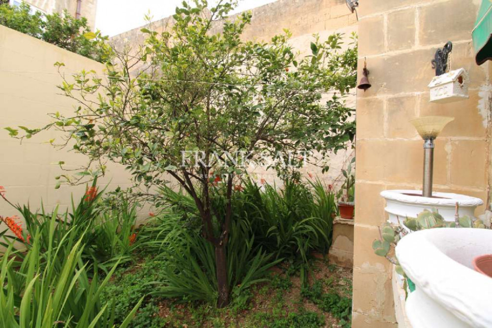 Zejtun, Converted Town House Image 2