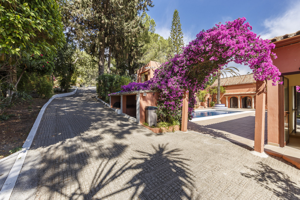 This remarkable Finca, located only 5 minutes from the beach and about a 10-1... Image 12