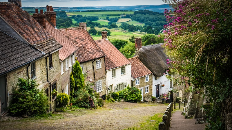 Area Insights - Dorset