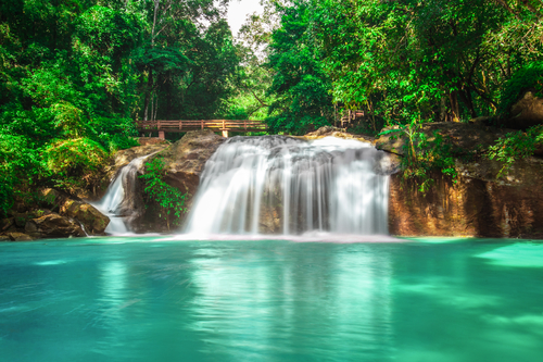 Area Insights - Mae Rim
