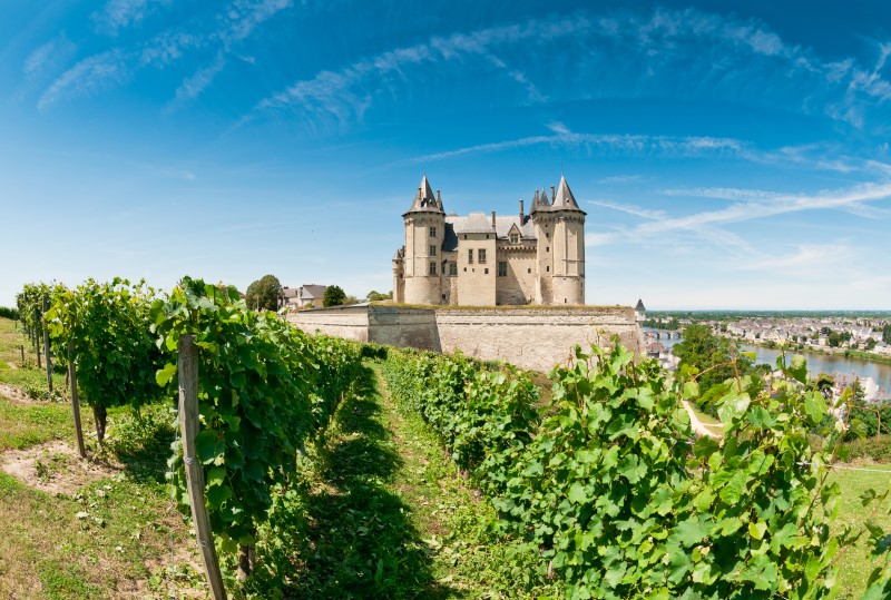 Area Insights - Maine et Loire