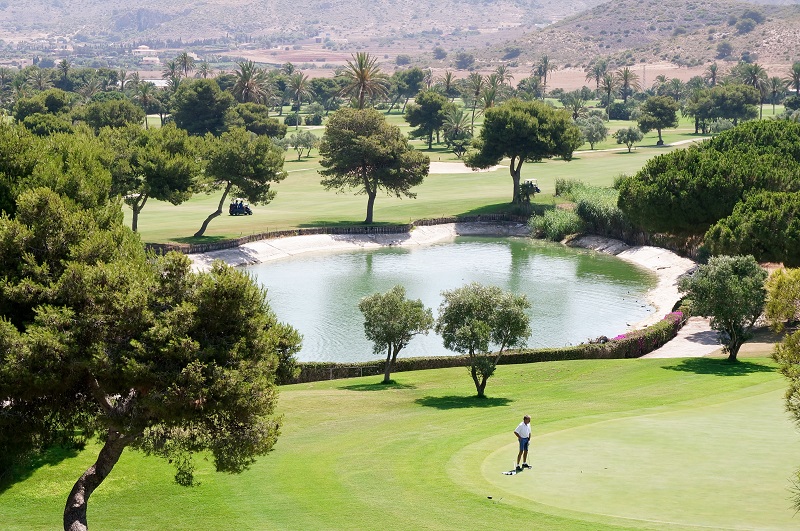 Area Insights - La Manga Club